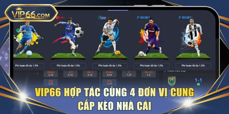 VIP66 hợp tác cùng 4 đơn vị cung cấp kèo nhà cái